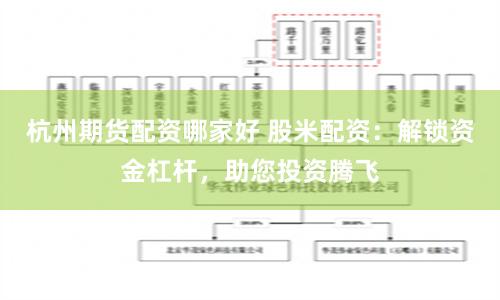 杭州期货配资哪家好 股米配资：解锁资金杠杆，助您投资腾飞