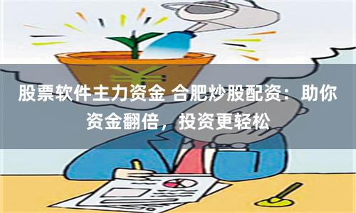 股票软件主力资金 合肥炒股配资：助你资金翻倍，投资更轻松