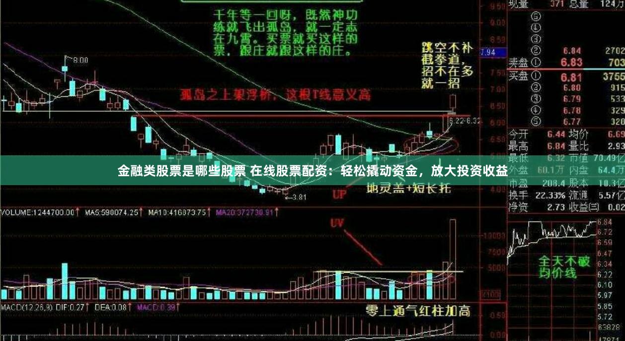 金融类股票是哪些股票 在线股票配资：轻松撬动资金，放大投资收益