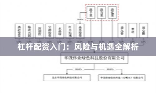 杠杆配资入门：风险与机遇全解析